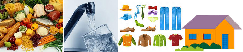 Basic Needs